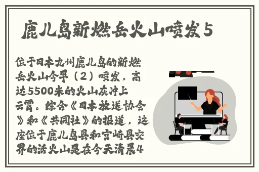 xmxmxm18中国政法网